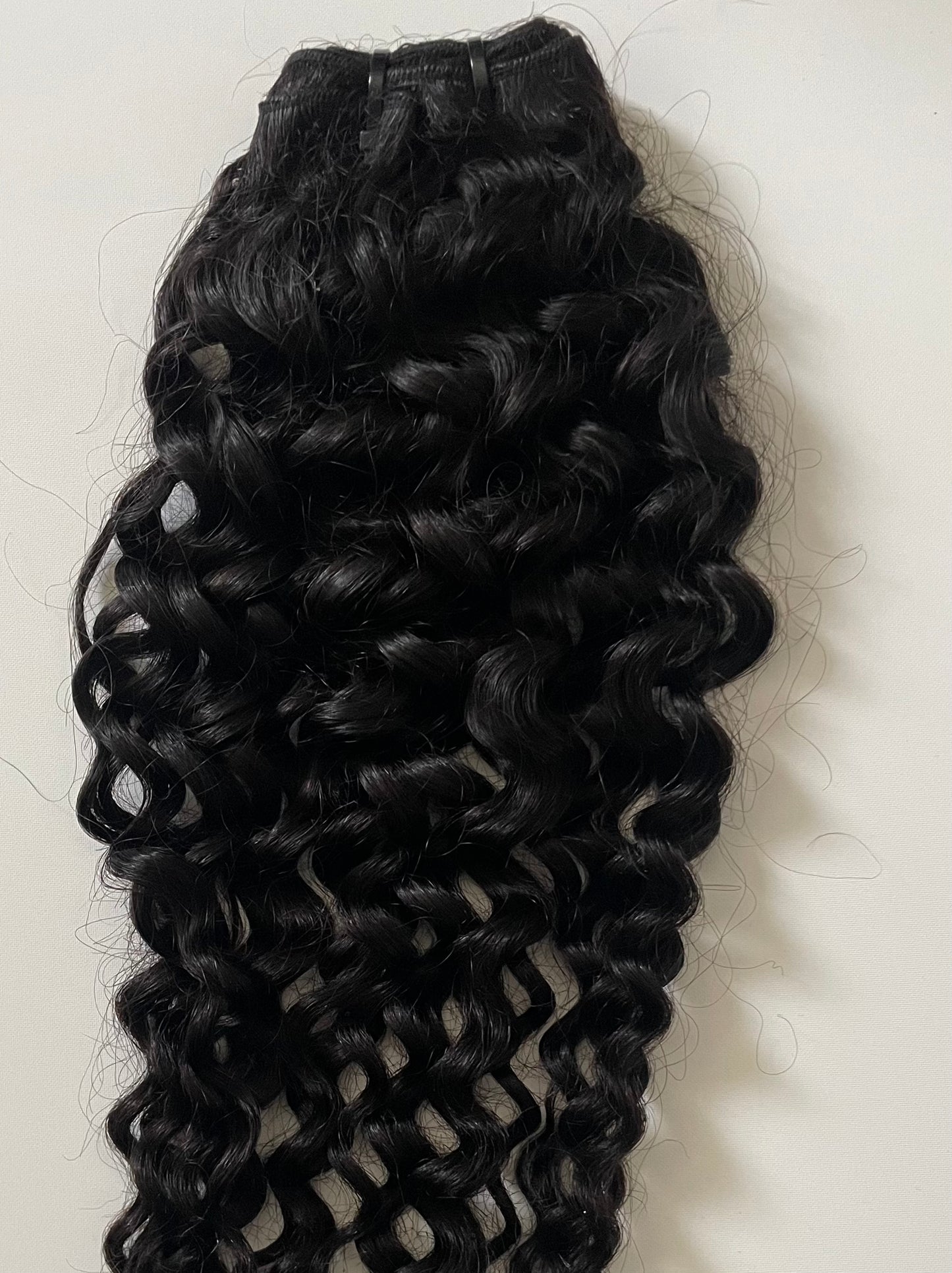 BRBL Burmese Curly